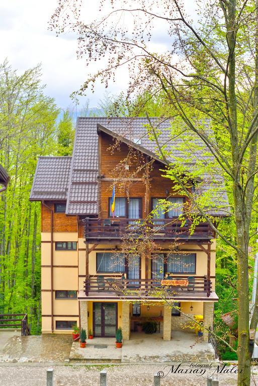Pension Master Sinaia Kültér fotó