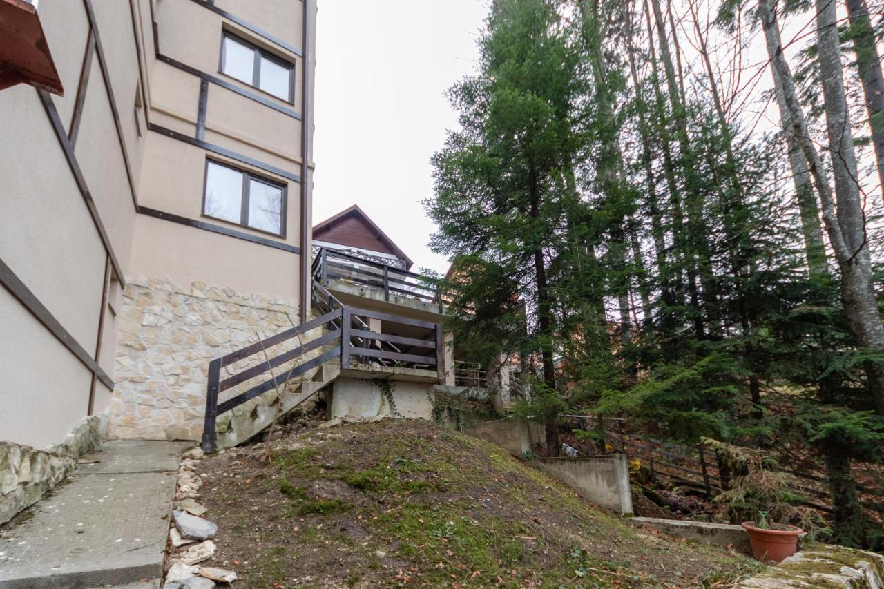 Pension Master Sinaia Kültér fotó